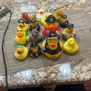 Assorted Rubber Duck Collection